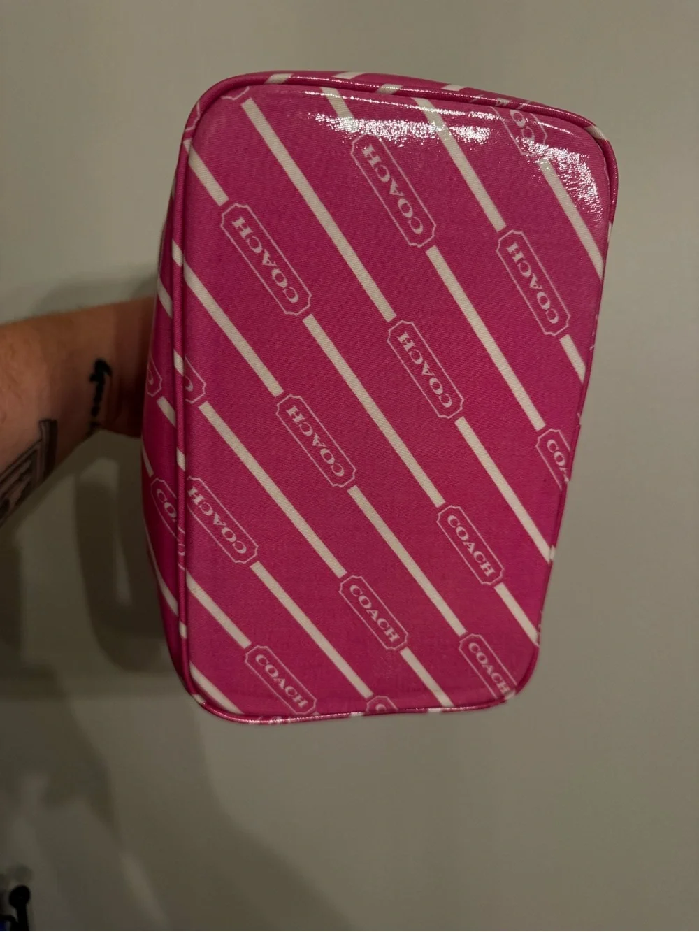 Coach Y2K Pink Cosmetic Train Case
